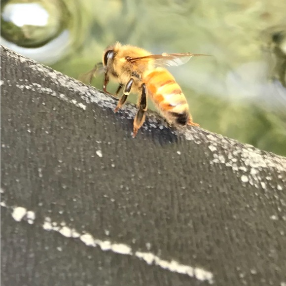 Meet Your Posher, Karri - Picture 14 of 17